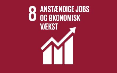 Mål 8: Anstændige Jobs og Økonomisk Vækst
